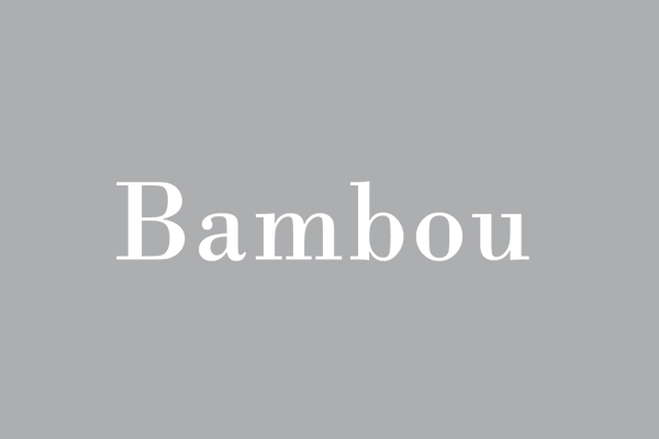Desarrollo ecommerce para bambou.online